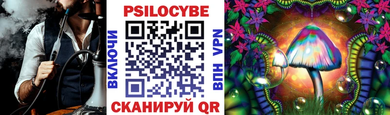 наркота  Камень-на-Оби  Галлюциногенные грибы Psilocybe 